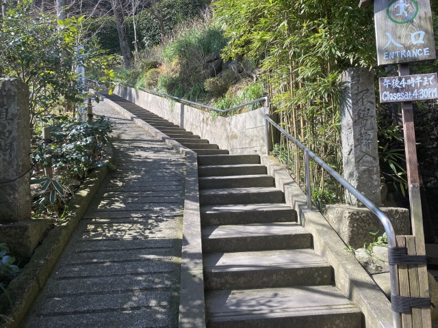 長谷寺の眺望散策路階段