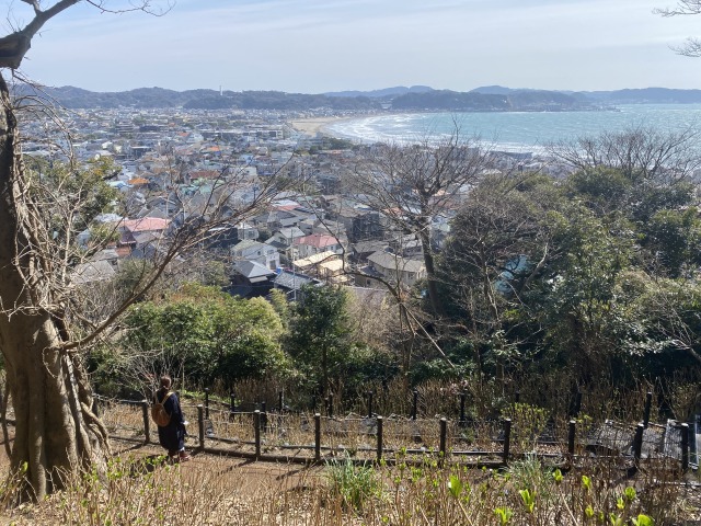 長谷寺眺望散策路からの景色