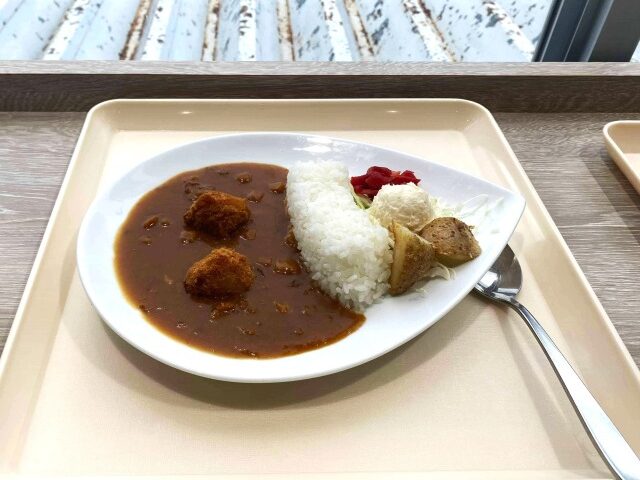 黒部ダムのダムカレー
